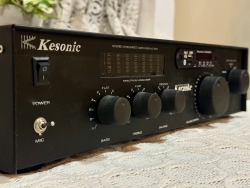 DIY 100 Watts Stereo Integrated Amplifier